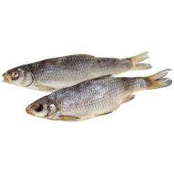 Plötze (11-15cm), ganz, gesalzen und getrocknet