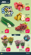 Netto APS : Wochenangebote