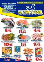 Mercogel Offerte Mercogel - al 13.07.2025