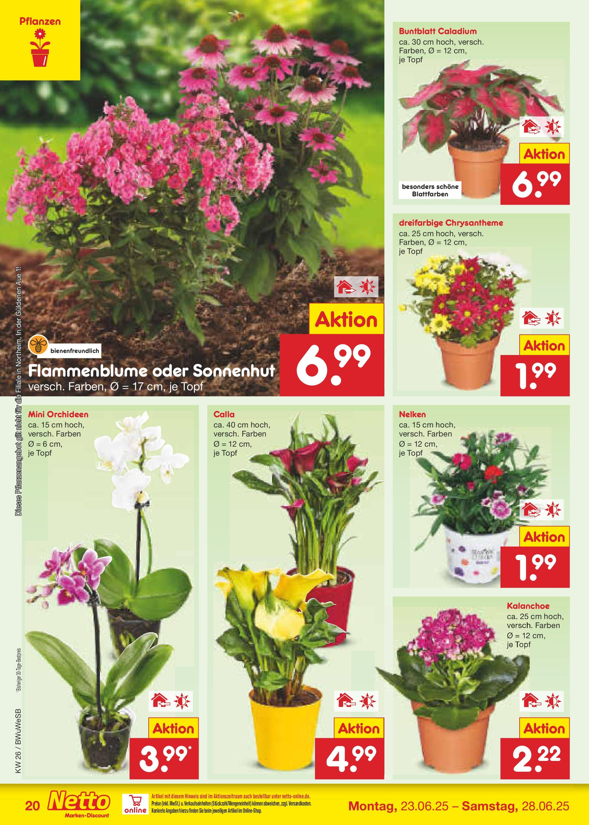 Netto Marken-Discount prospekt Stemwede-Dielingen (ab 22.06.2025) » Angebote | Seite: 28 Netto Marken-Discount prospekt Stemwede-Dielingen (ab 22.06.2025) » Angebote | Seite: 28