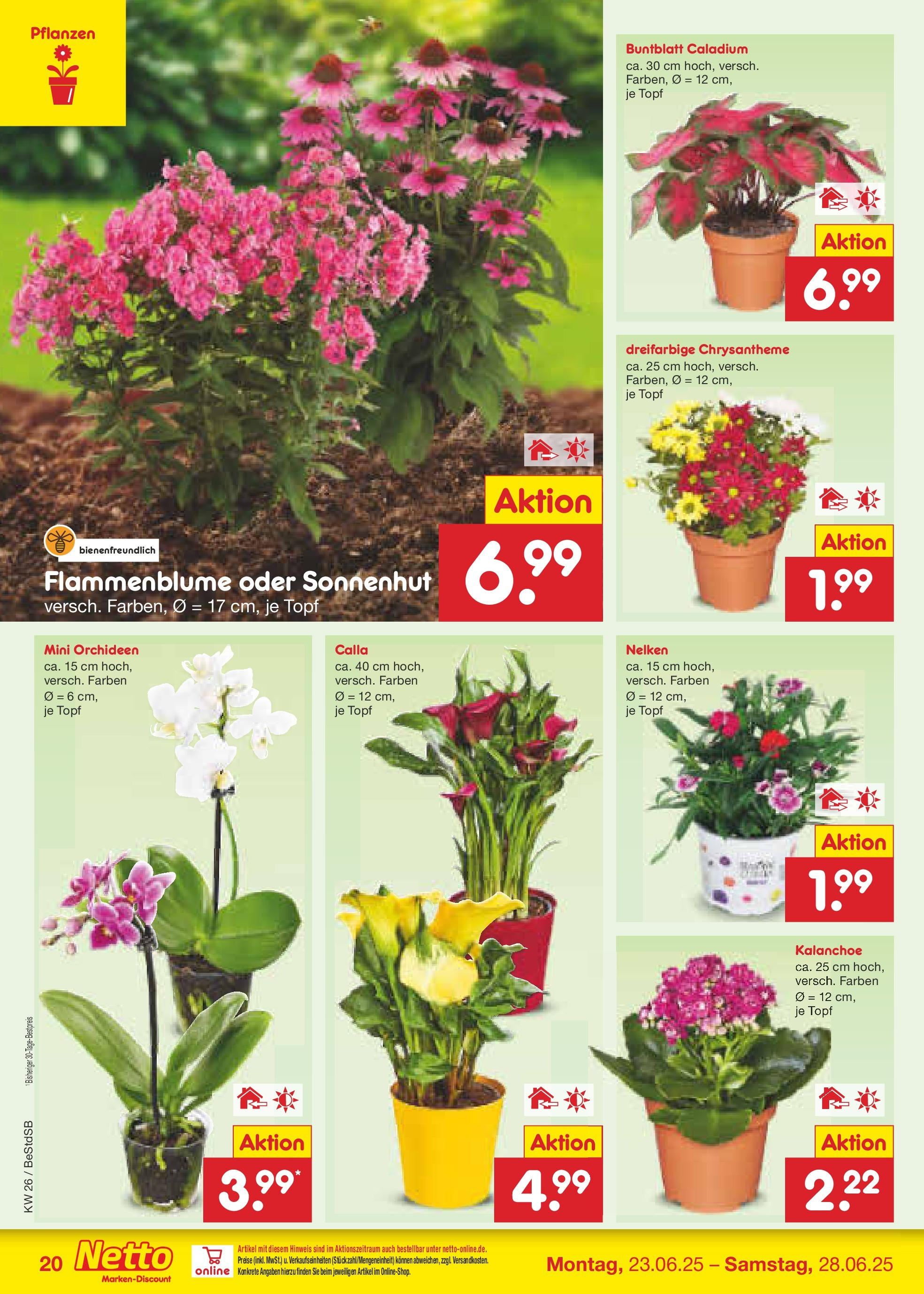 Netto Marken-Discount prospekt Berlin-Spandau (ab 22.06.2025) » Angebote | Seite: 28 Netto Marken-Discount prospekt Berlin-Spandau (ab 22.06.2025) » Angebote | Seite: 28