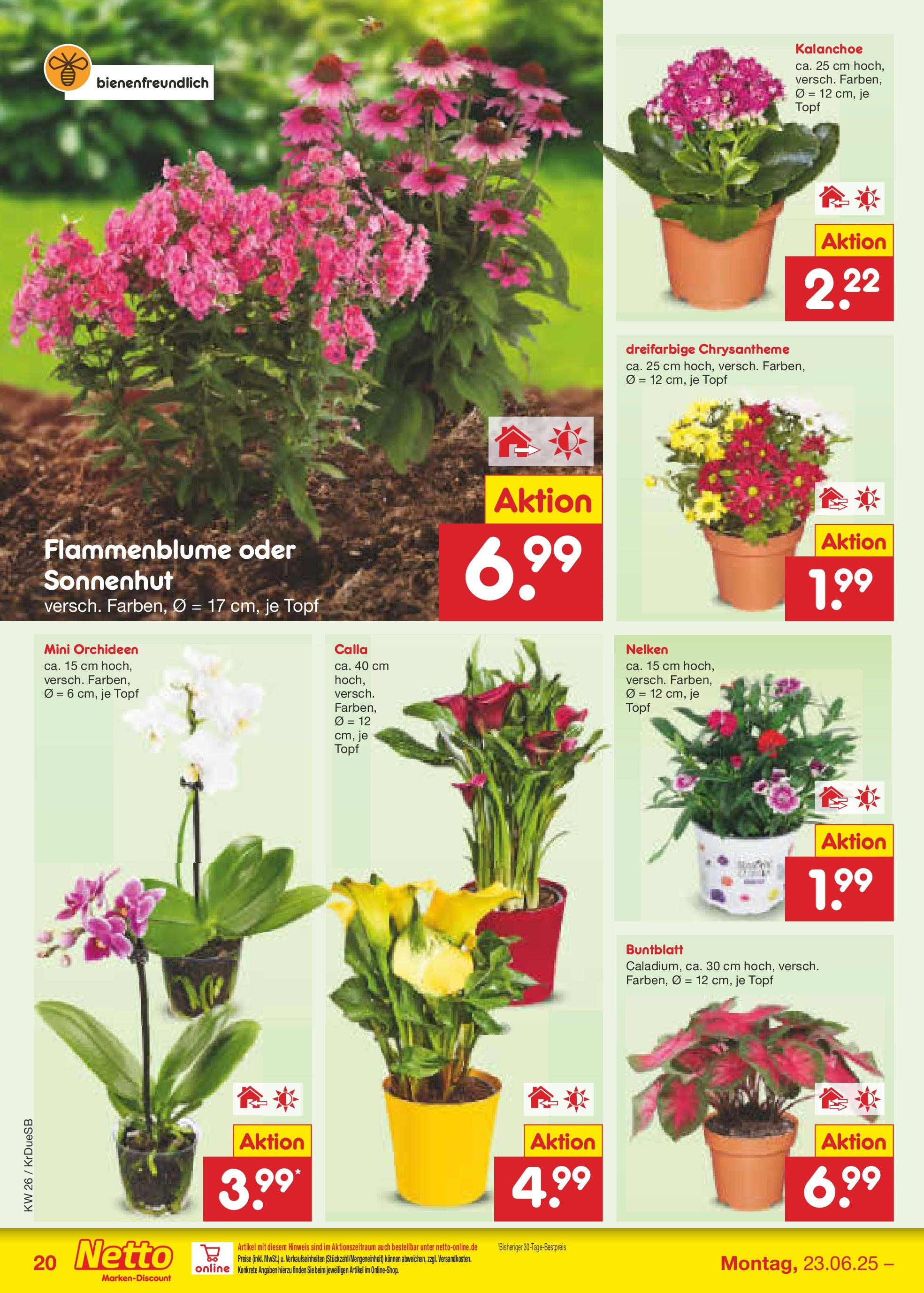 Netto Marken-Discount prospekt Düsseldorf-Rath (ab 22.06.2025) » Angebote | Seite: 28 Netto Marken-Discount prospekt Düsseldorf-Rath (ab 22.06.2025) » Angebote | Seite: 28