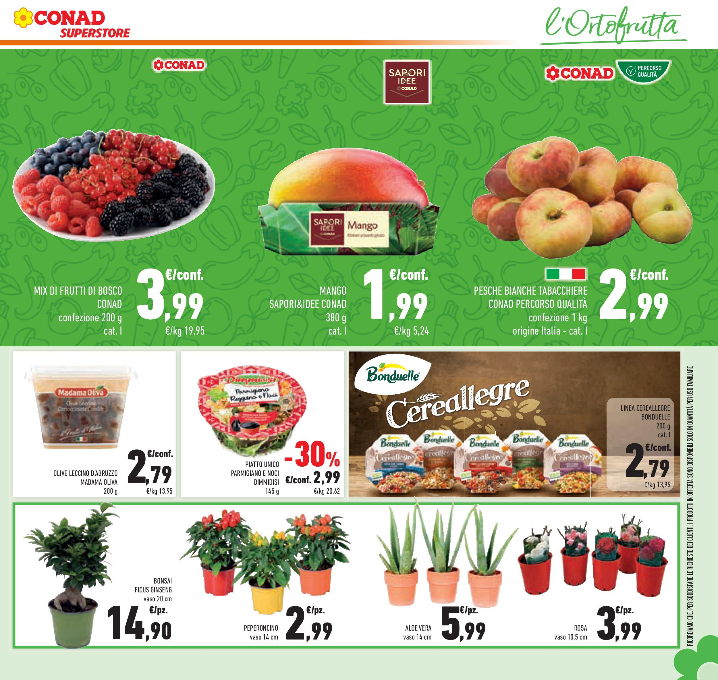 Volantino Conad dal 17/06/2025 > Anteprima - Giugno | Pagina: 31 | Prodotti: Peperoncino, Piatto, Aloe vera, Parmigiano