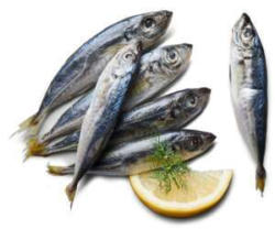 Universal Foods Сафрид замразен
