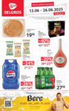 Catalog Selgros până în data de 26.06.2025