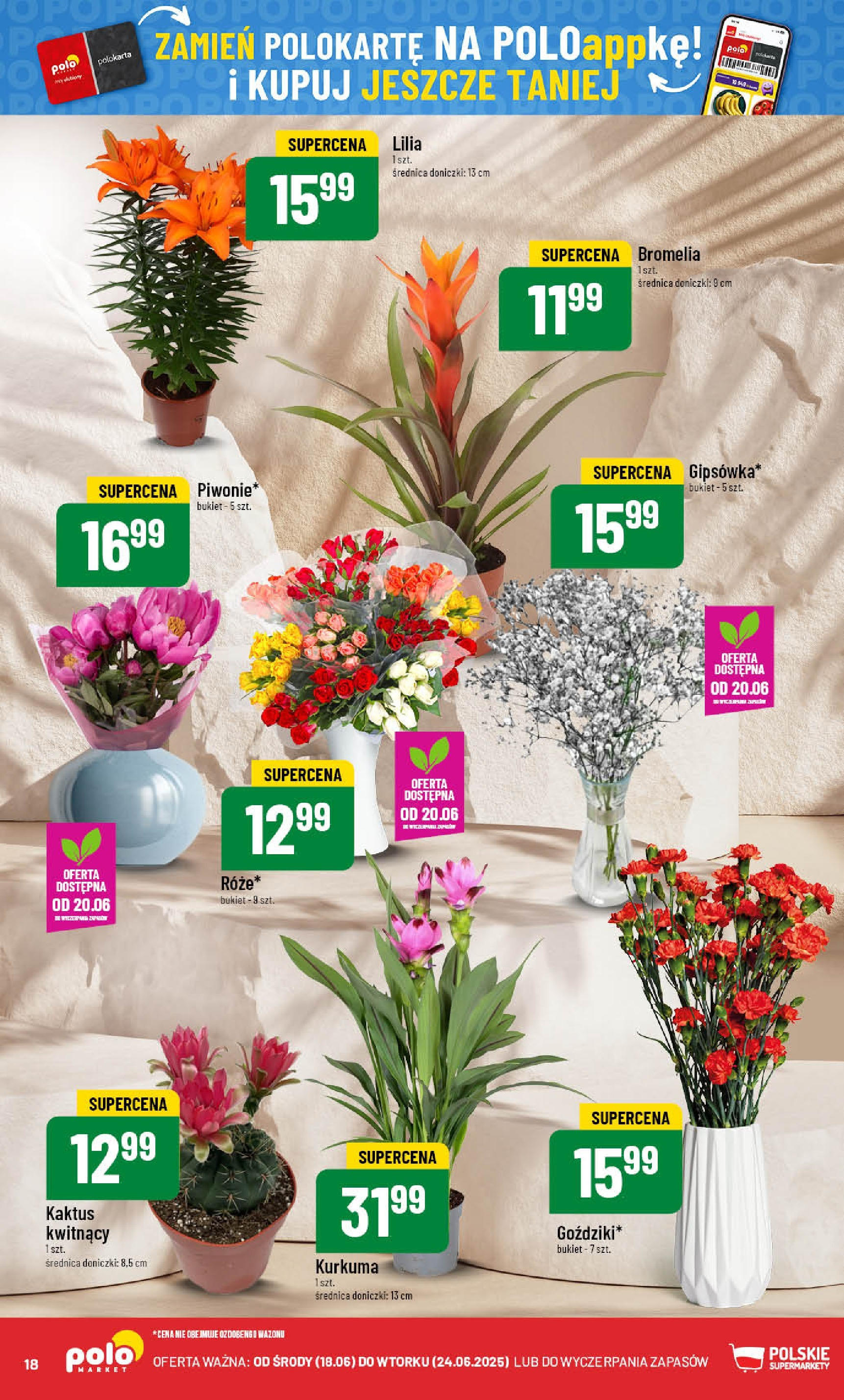 POLOmarket gazetka od jutra (18.06.2025) | Nowa PDF | Strona: 18 | Produkty: Kurkuma, Doniczki POLOmarket gazetka od jutra (18.06.2025) - Nowa PDF | Strona: 18 | Produkty: Kurkuma, Doniczki