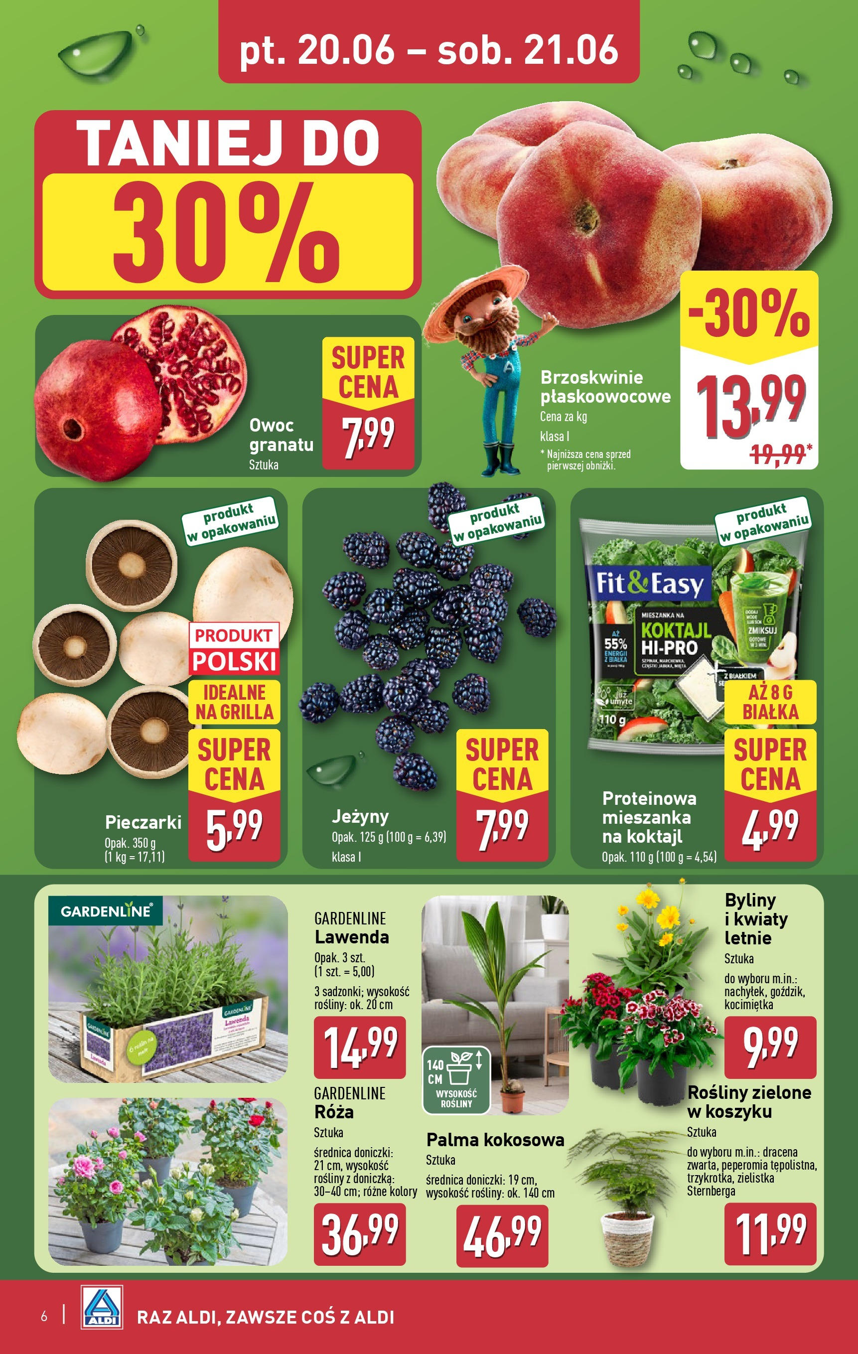 Aldi Gazetka - Okazje na weekend od 18.06.2025 - Ulotka PDF, promocje | Strona: 6 | Produkty: Pieczarki, Jeżyny, Doniczki, Kwiaty