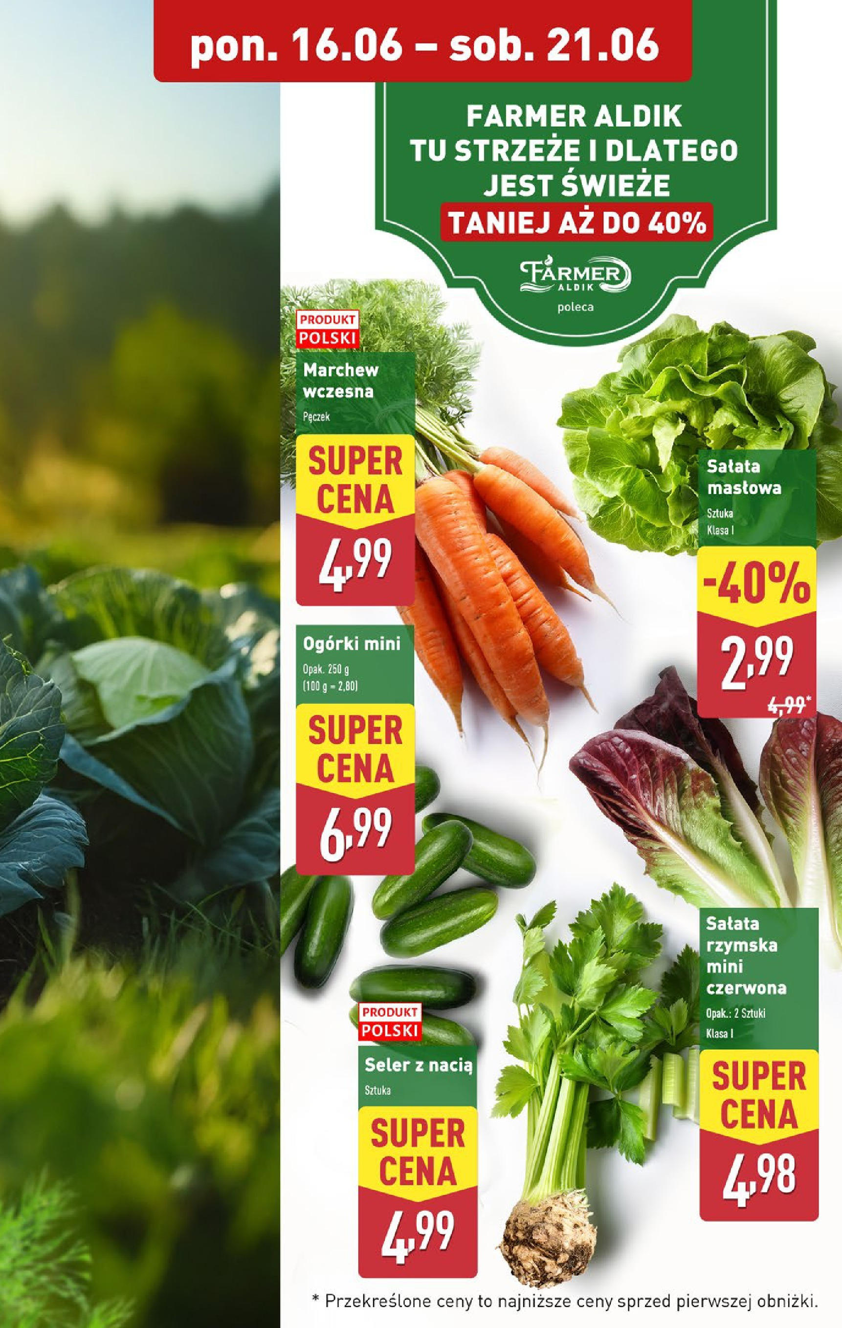 Aldi Gazetka - Okazje na weekend od 18.06.2025 - Ulotka PDF, promocje | Strona: 9 | Produkty: Ogórki