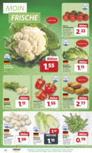 Combi - Angebote 23.06.-28.06.2025