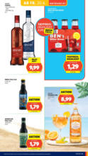 HOFER HOFER: Flugblatt - ab 20.06.2025