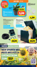 HOFER HOFER: Flugblatt - ab 20.06.2025