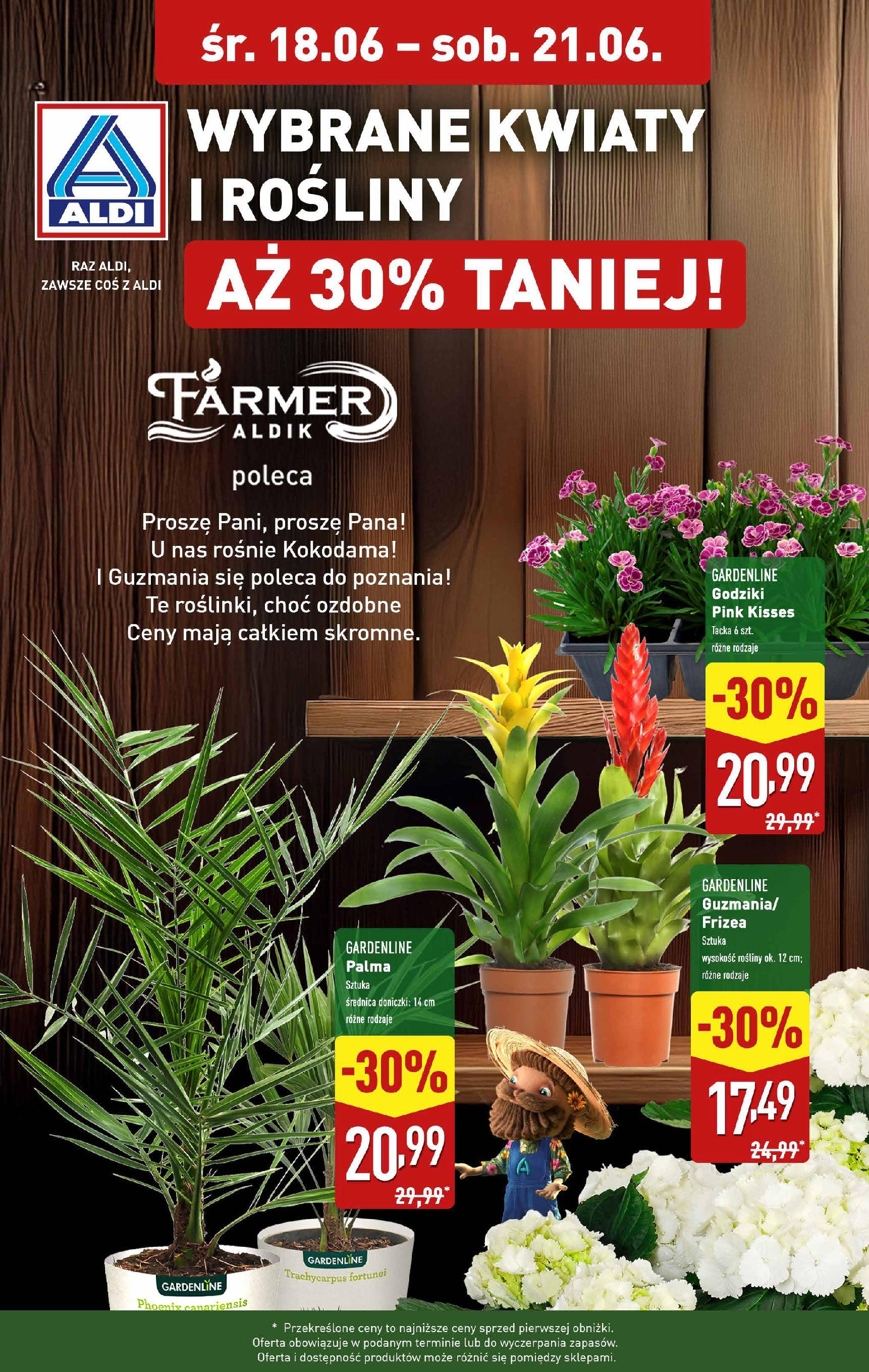 Aldi Promocja kwiaty od 18.06.2025 - Nowa Gazetka - Numer strony 1