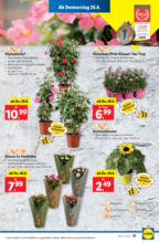 Lidl Österreich Lidl: Flugblatt in deiner Nähe - ab 26.06.2025