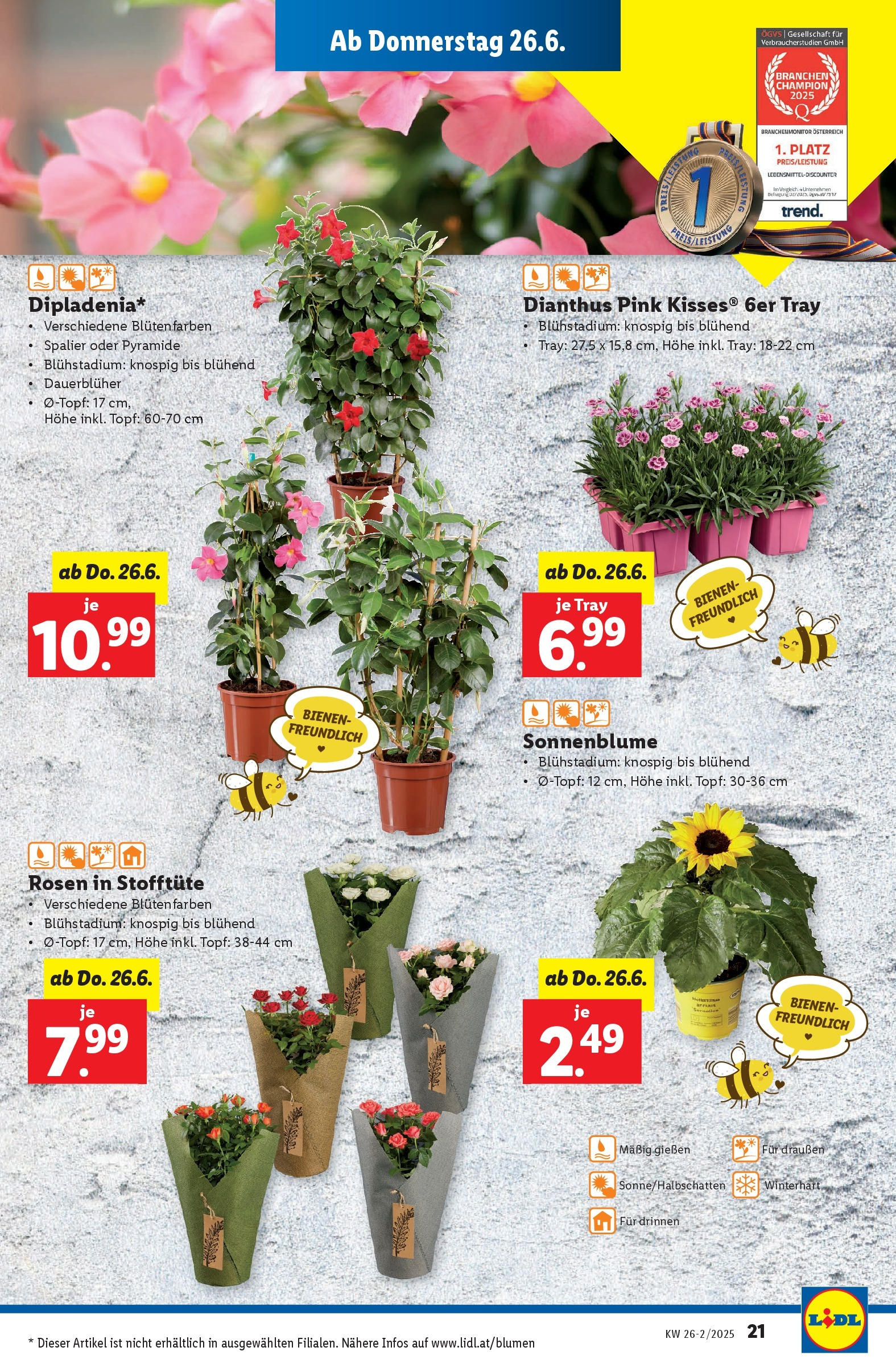 Lidl - Lidl: Flugblatt in deiner Nähe ab 25.06.2025 - Angebote ab donnerstag | Seite: 25
