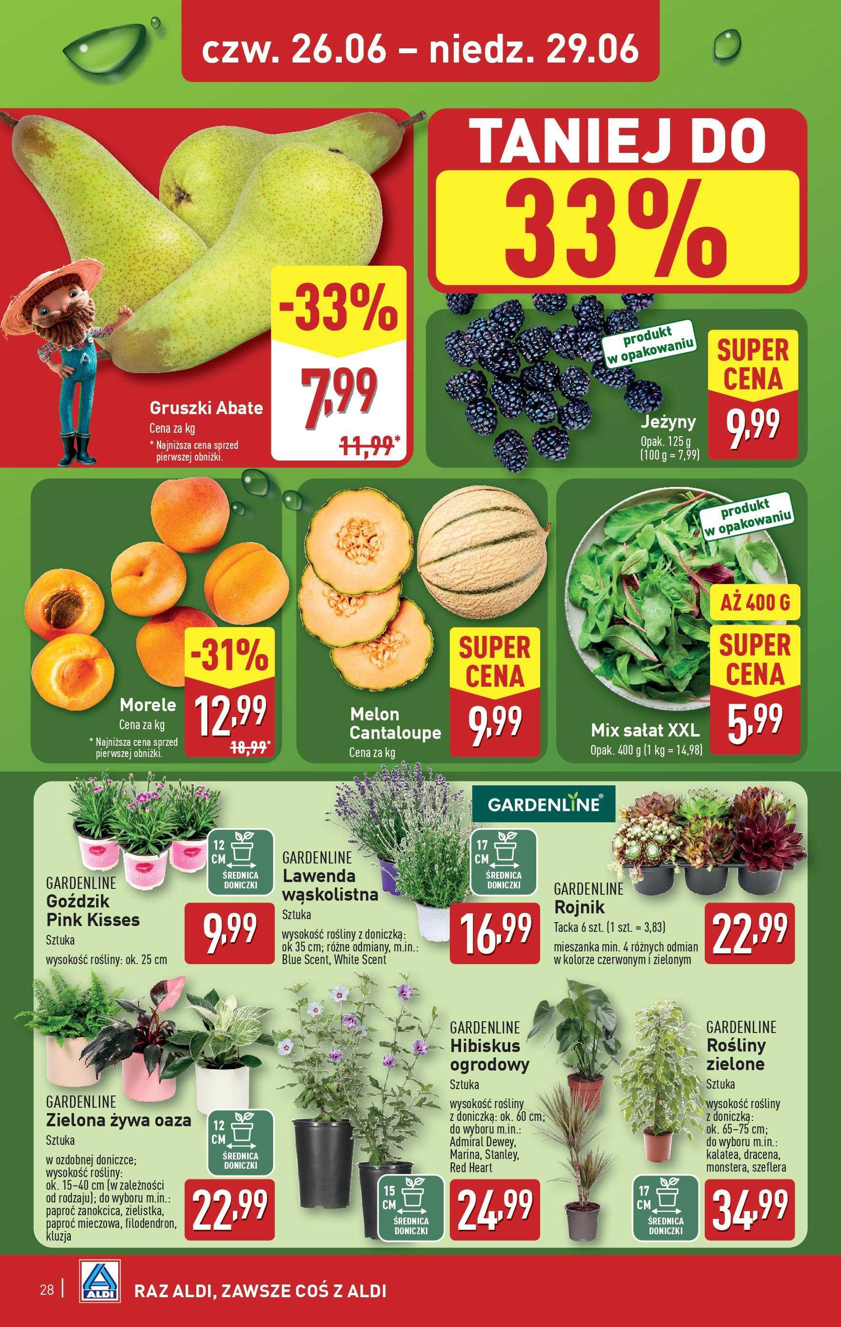 Aldi Gazetka od 23.06.2025 - Ulotka PDF, promocje | Strona: 28 | Produkty: Goździk, Jeżyny, Morele, Doniczka
