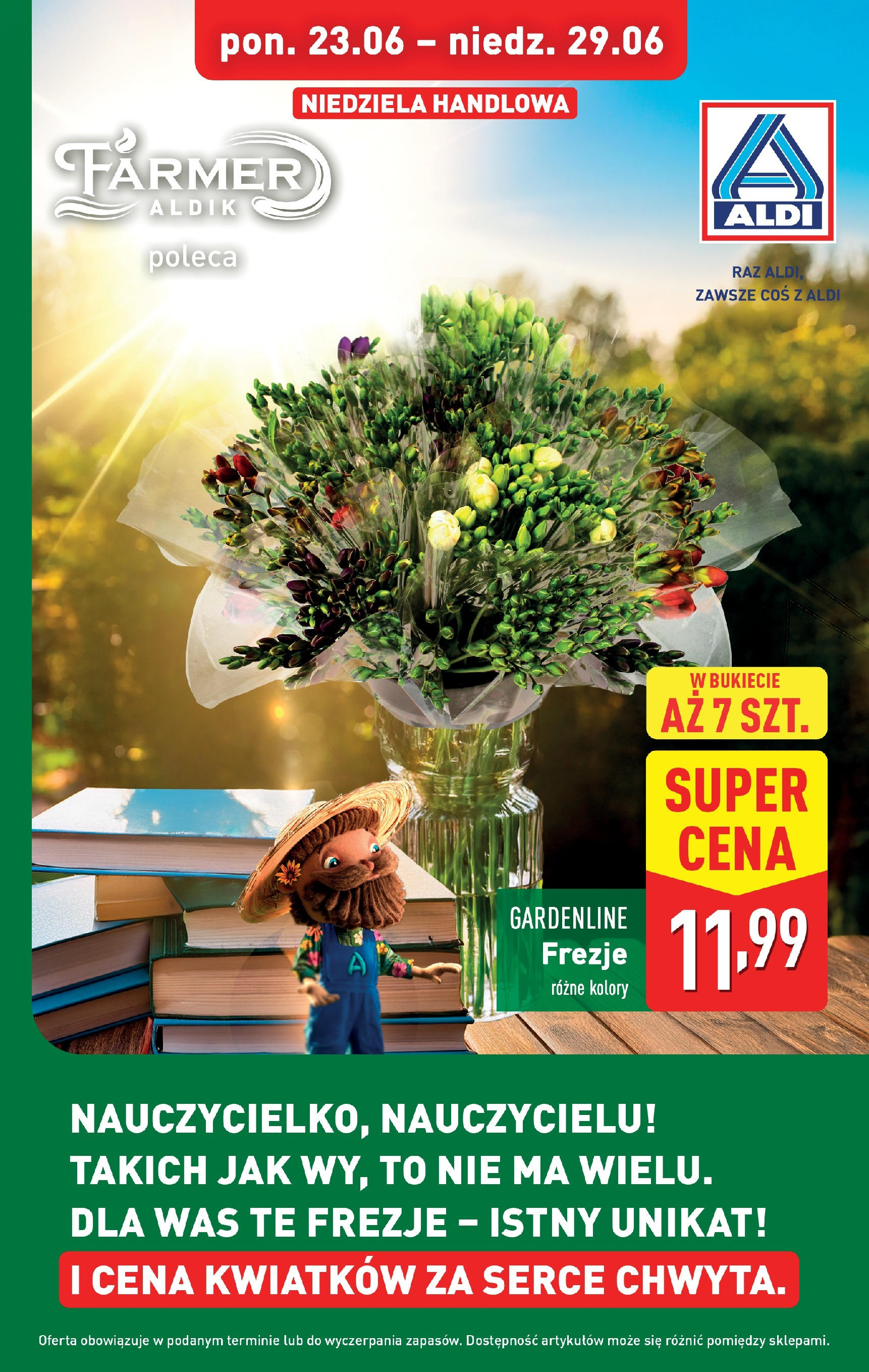 Aldi Gazetka od 23.06.2025 - Ulotka PDF, promocje | Strona: 39