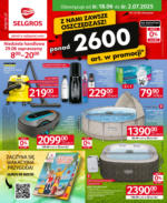 Oferta Przemysłowa Selgros – do 02.07.2025