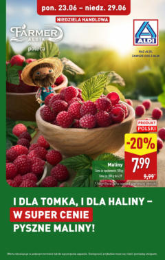 Pogląd oferty "Aldi Gazetka - Promocja maliny i truskawki" - ważna od 23.06.2025
