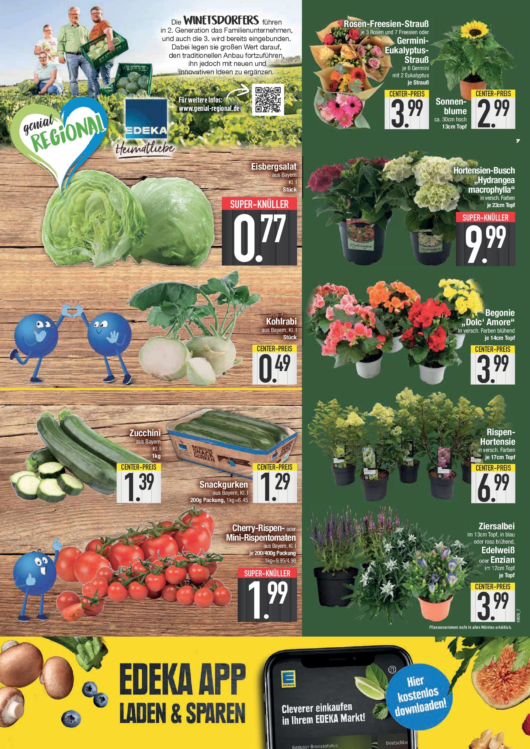 Edeka prospekt Bad Reichenhall	 (ab 22.06.2025) » Angebote Online | Seite: 7 | Produkte: Hortensie, Kohlrabi, Eisbergsalat, Zucchini