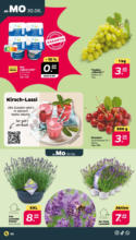 Netto APS : Wochenangebote