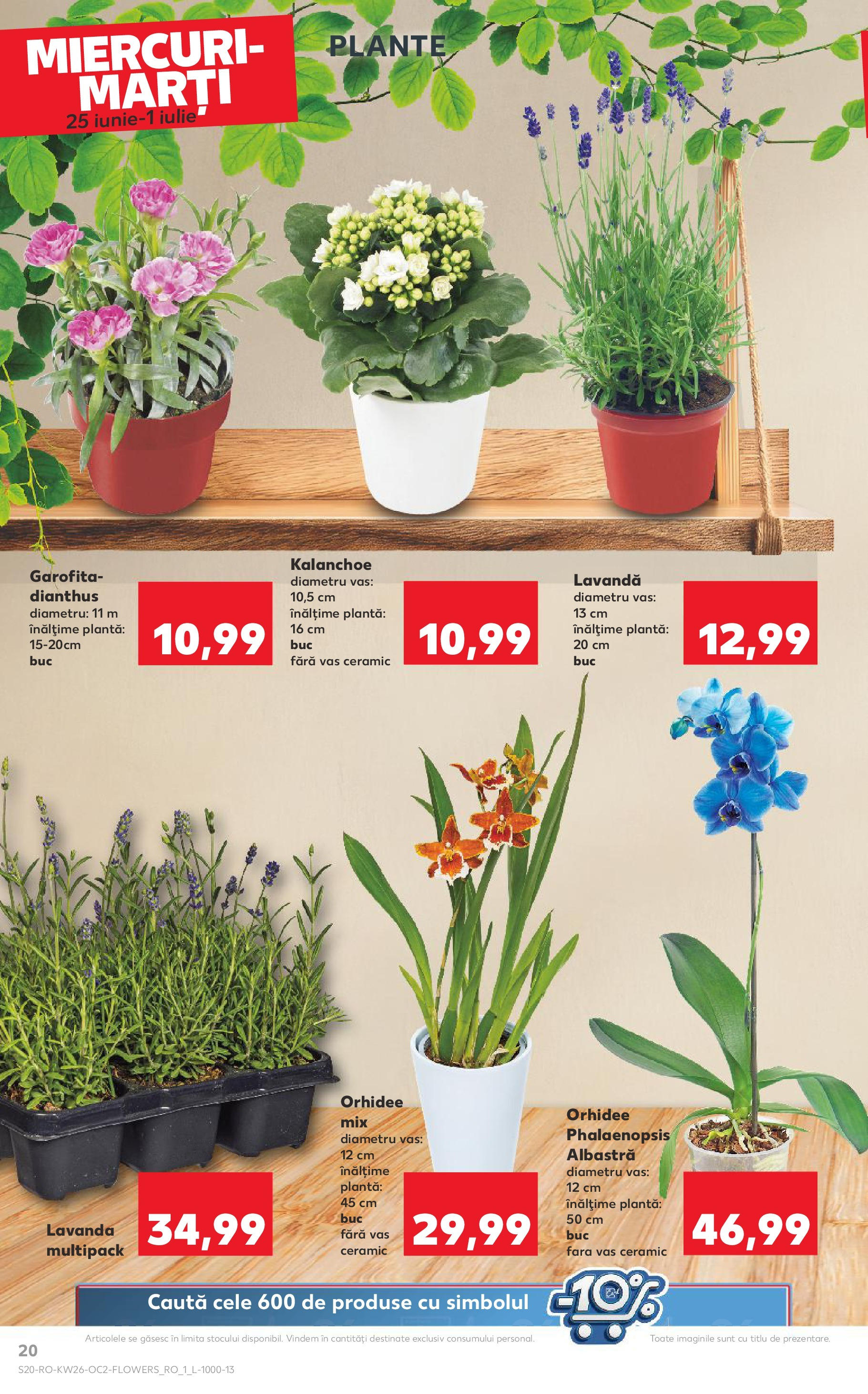 Catalog Kaufland - Râmnicu Vâlcea 25.06.2025 - Revista si Oferta | Pagină: 20 | Produse: Orhidee