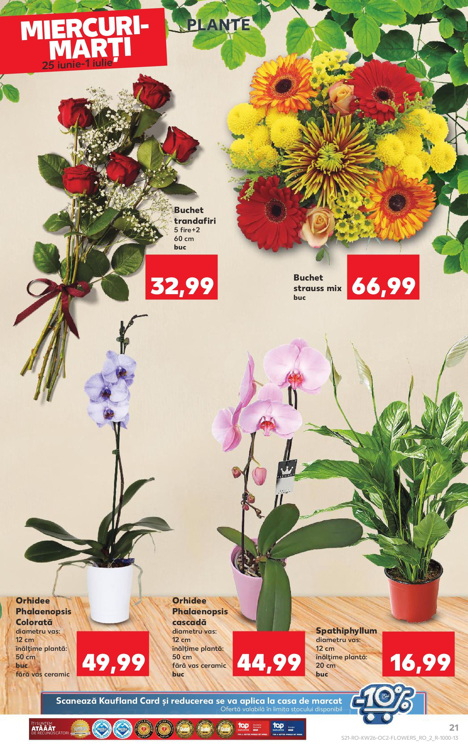 Catalog Kaufland - Râmnicu Vâlcea 25.06.2025 - Revista si Oferta | Pagină: 21 | Produse: Orhidee