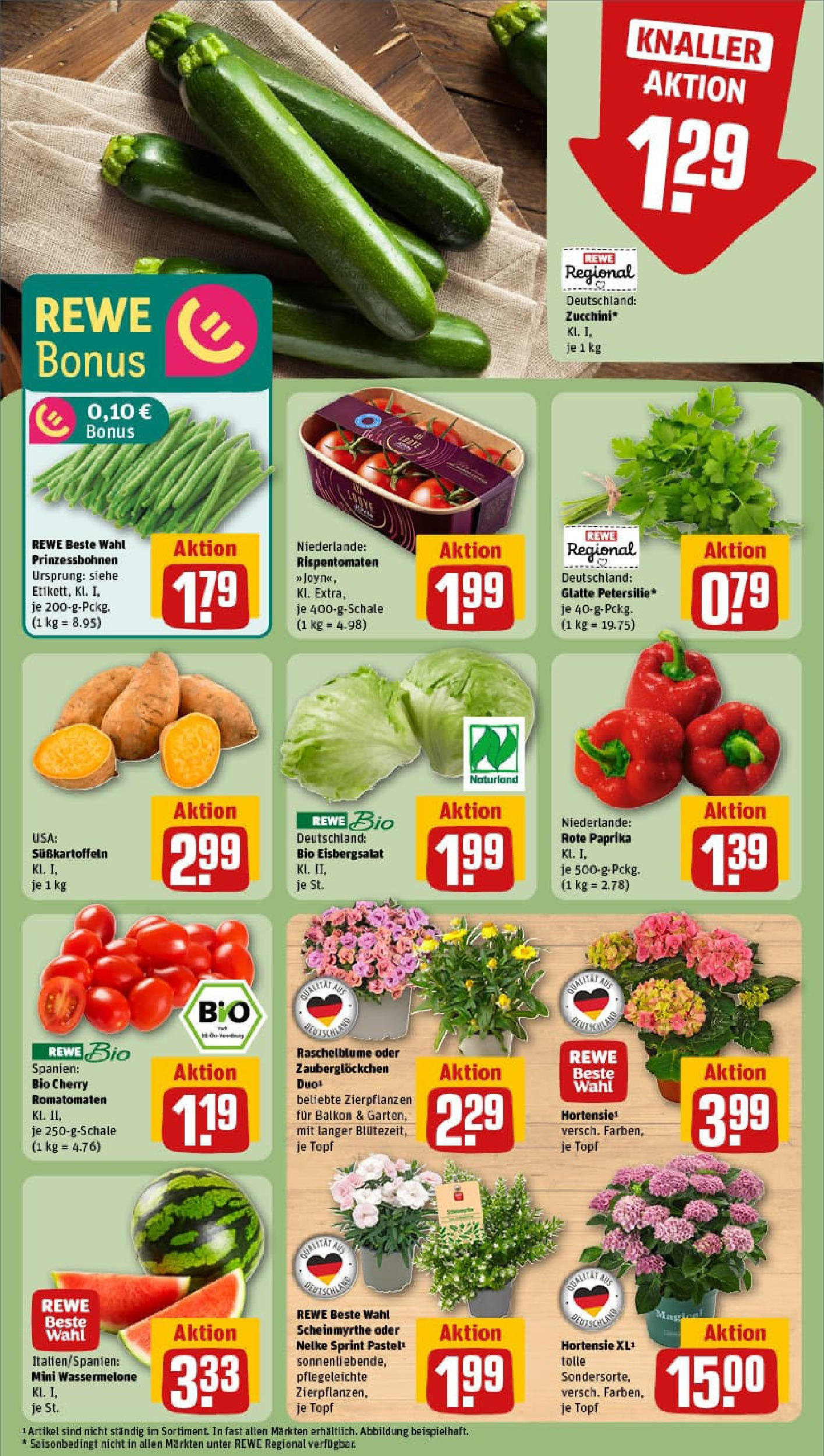 REWE Prospekt ab 23.06.2025 zum Blättern » Angebote | Seite: 7 | Produkte: Hortensie, Eisbergsalat, Paprika, Wassermelone