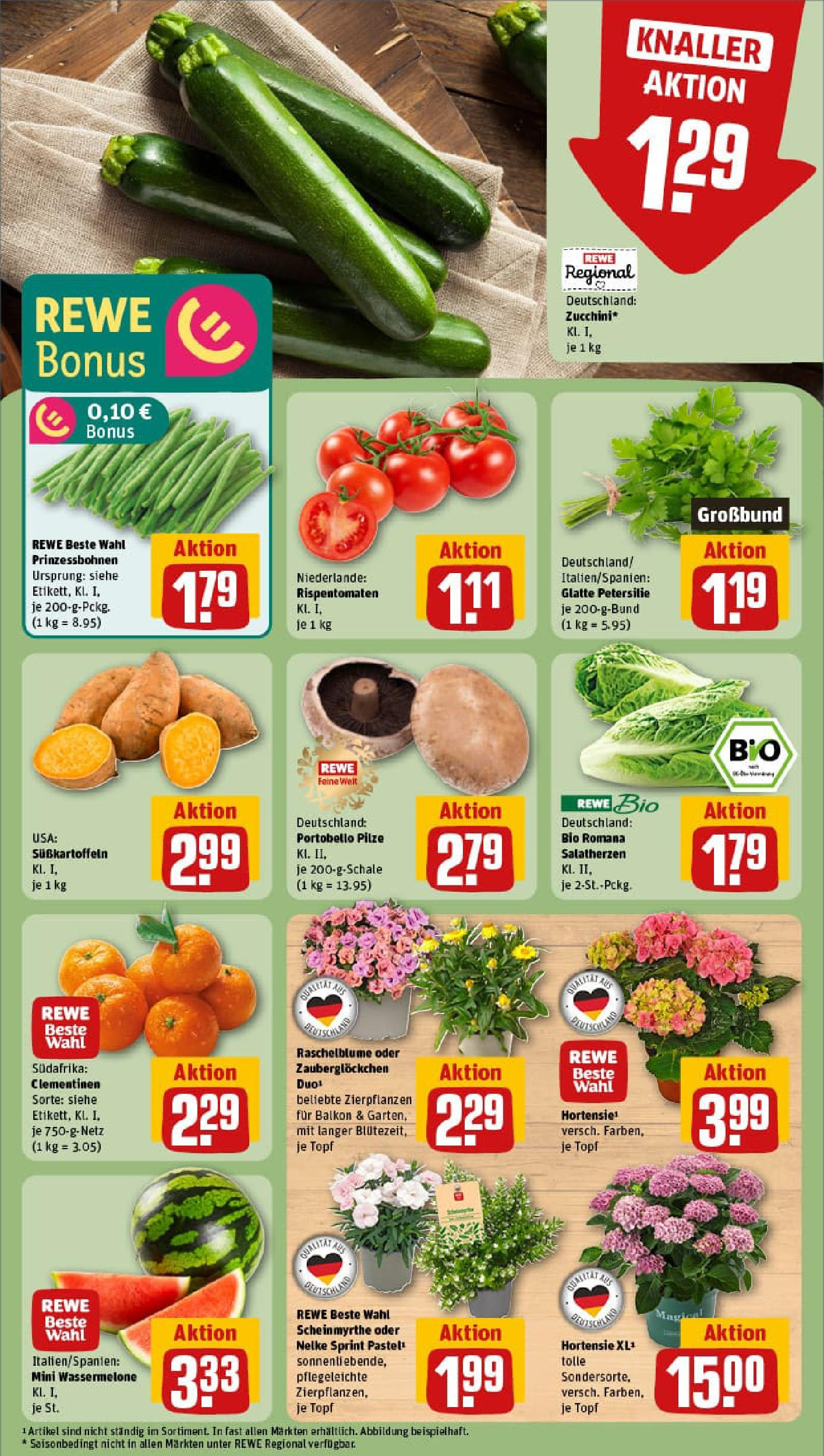 REWE Prospekt ab 22.06.2025 zum Blättern » Angebote | Seite: 7 | Produkte: Hortensie, Wassermelone, Petersilie