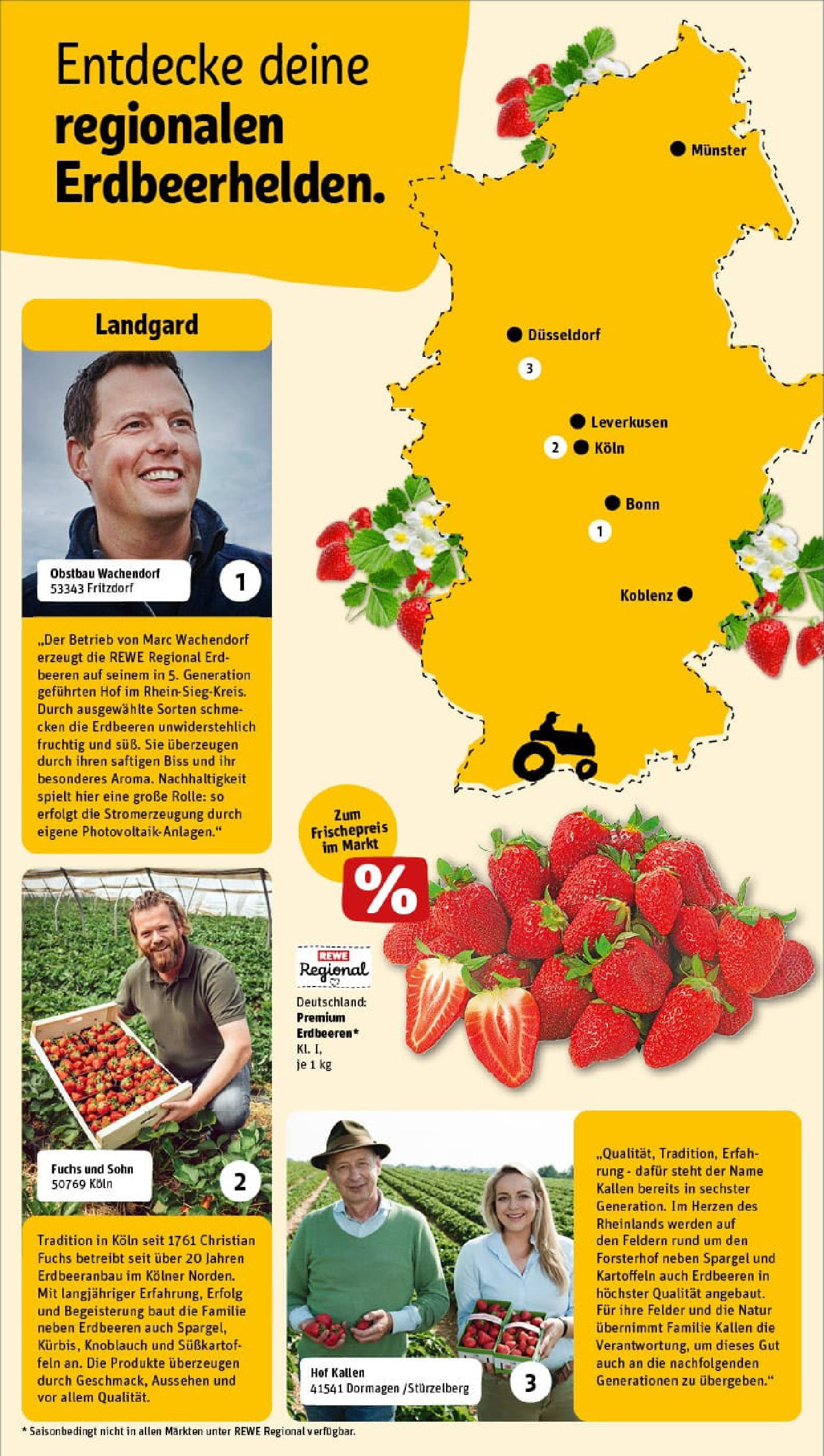 REWE Prospekt ab 23.06.2025 zum Blättern » Angebote | Seite: 15 | Produkte: Spargel, Kartoffeln, Knoblauch, Erdbeeren