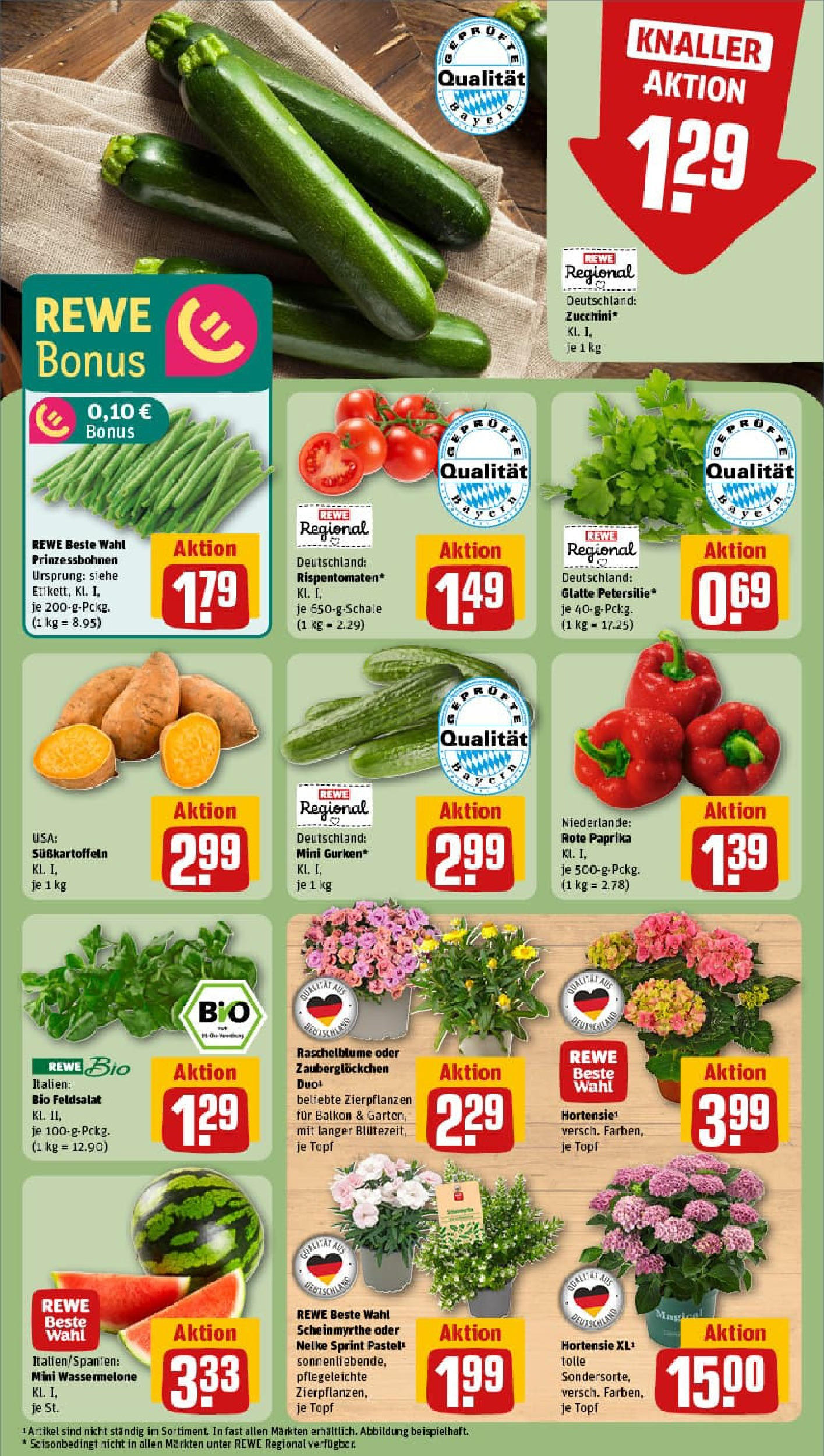 REWE Prospekt ab 22.06.2025 zum Blättern » Angebote | Seite: 7 | Produkte: Hortensie, Paprika, Wassermelone