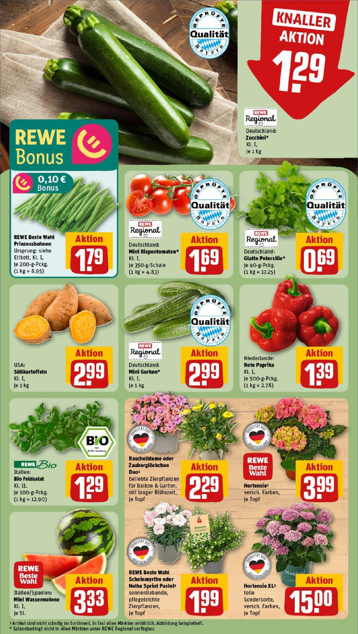 REWE Prospekt ab 22.06.2025 zum Blättern » Angebote | Seite: 7 | Produkte: Hortensie, Paprika, Wassermelone, Zucchini