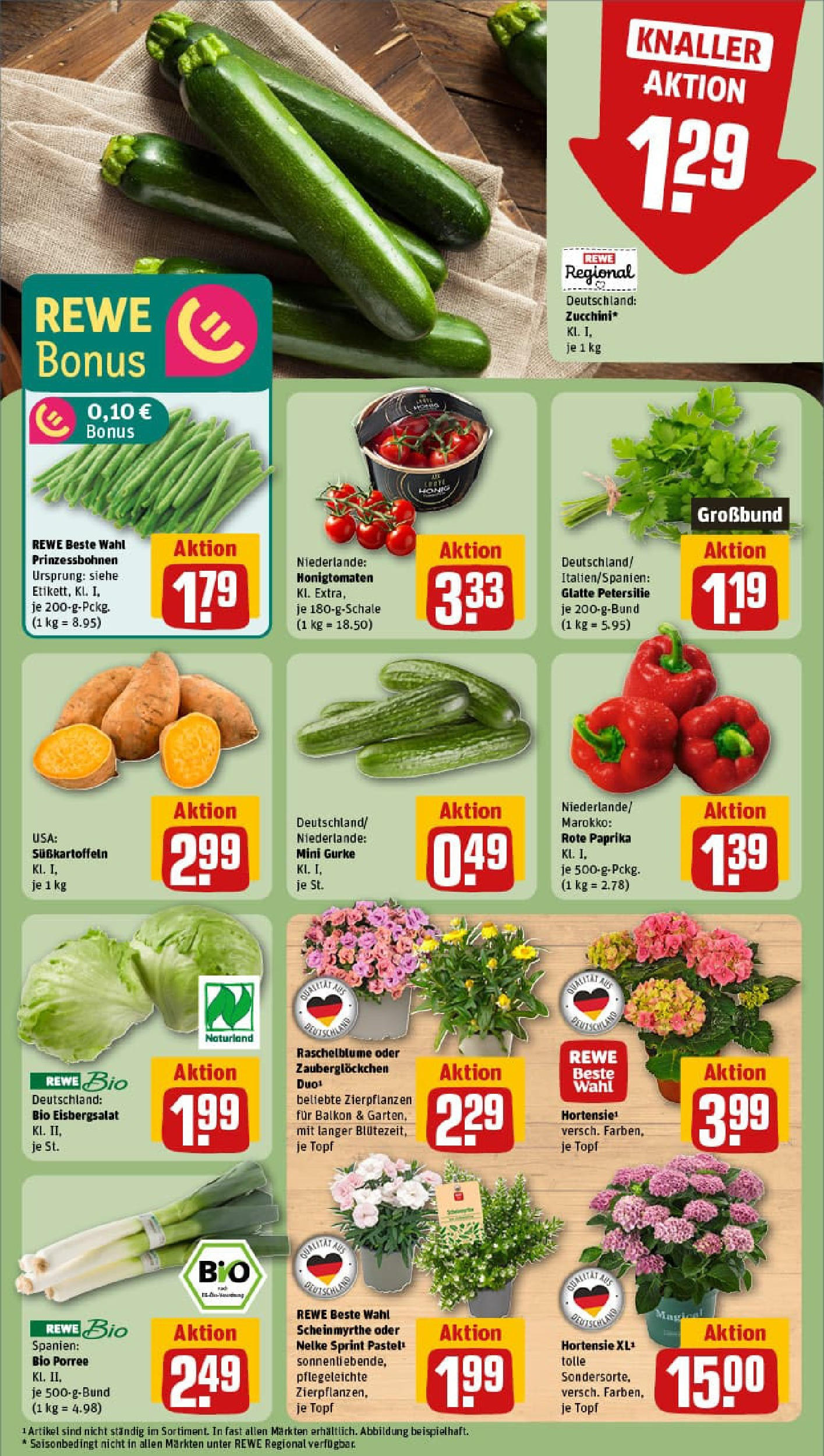 REWE Prospekt ab 22.06.2025 zum Blättern » Angebote | Seite: 7 | Produkte: Hortensie, Eisbergsalat, Petersilie, Zucchini
