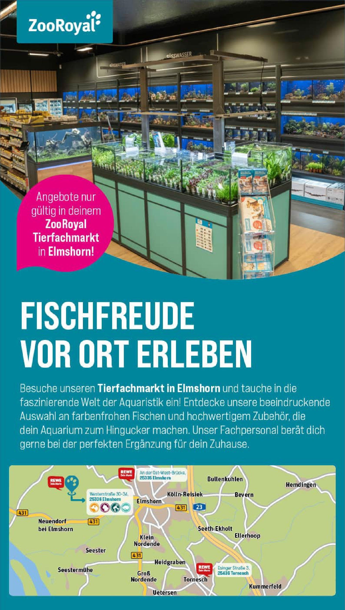 REWE Prospekt ab 27.07.2025 zum Blättern » Angebote | Seite: 31