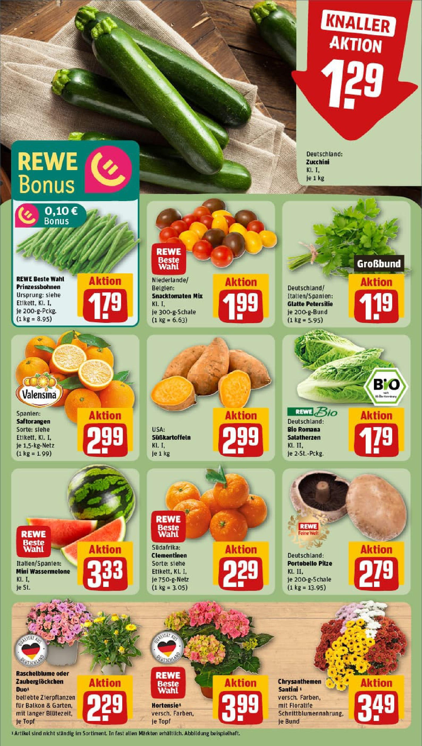 REWE Prospekt ab 22.06.2025 zum Blättern » Angebote | Seite: 5 | Produkte: Hortensie, Wassermelone, Petersilie, Zucchini