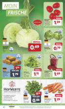 Combi - Angebote 30.06.-05.07.2025