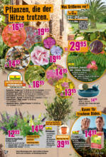 Hornbach Hornbach: Dir ist vieles Latte nur nicht dein Garten. - bis 22.07.2025