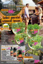 Hornbach Hornbach: Dir ist vieles Latte nur nicht dein Garten. - bis 22.07.2025
