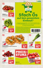 ADEG ADEG: Angebote - bis 02.07.2025