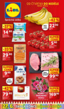 Lidl Lidl leták do 29.06.2025 – do 29.06.2025
