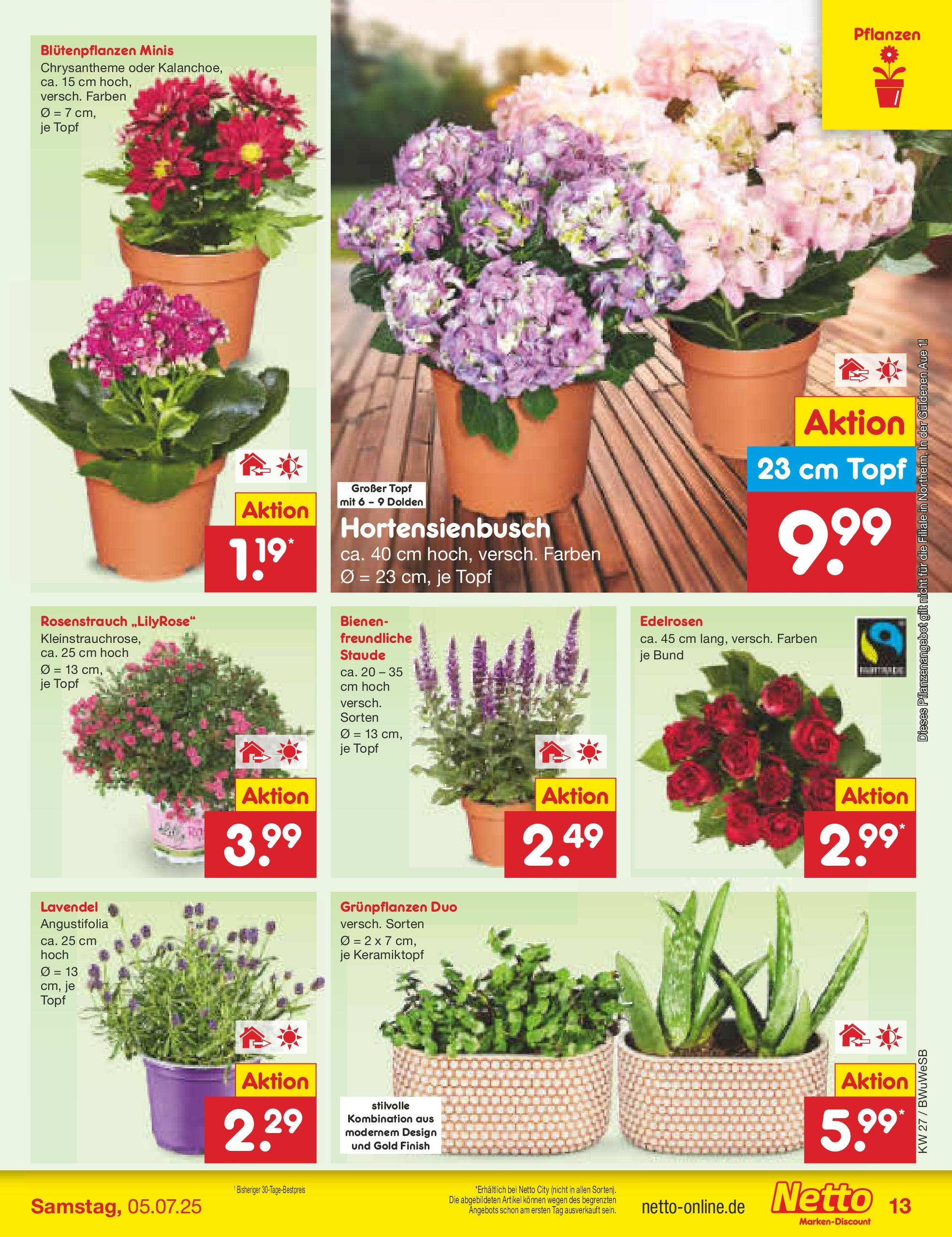 Netto Marken-Discount prospekt Stemwede-Dielingen	 (ab 29.06.2025) » Angebote | Seite: 15 | Produkte: Finish, Lavendel