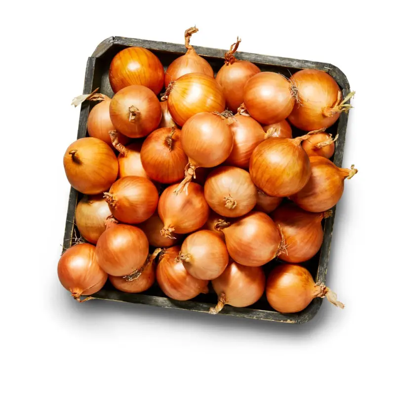 Български жълт лук