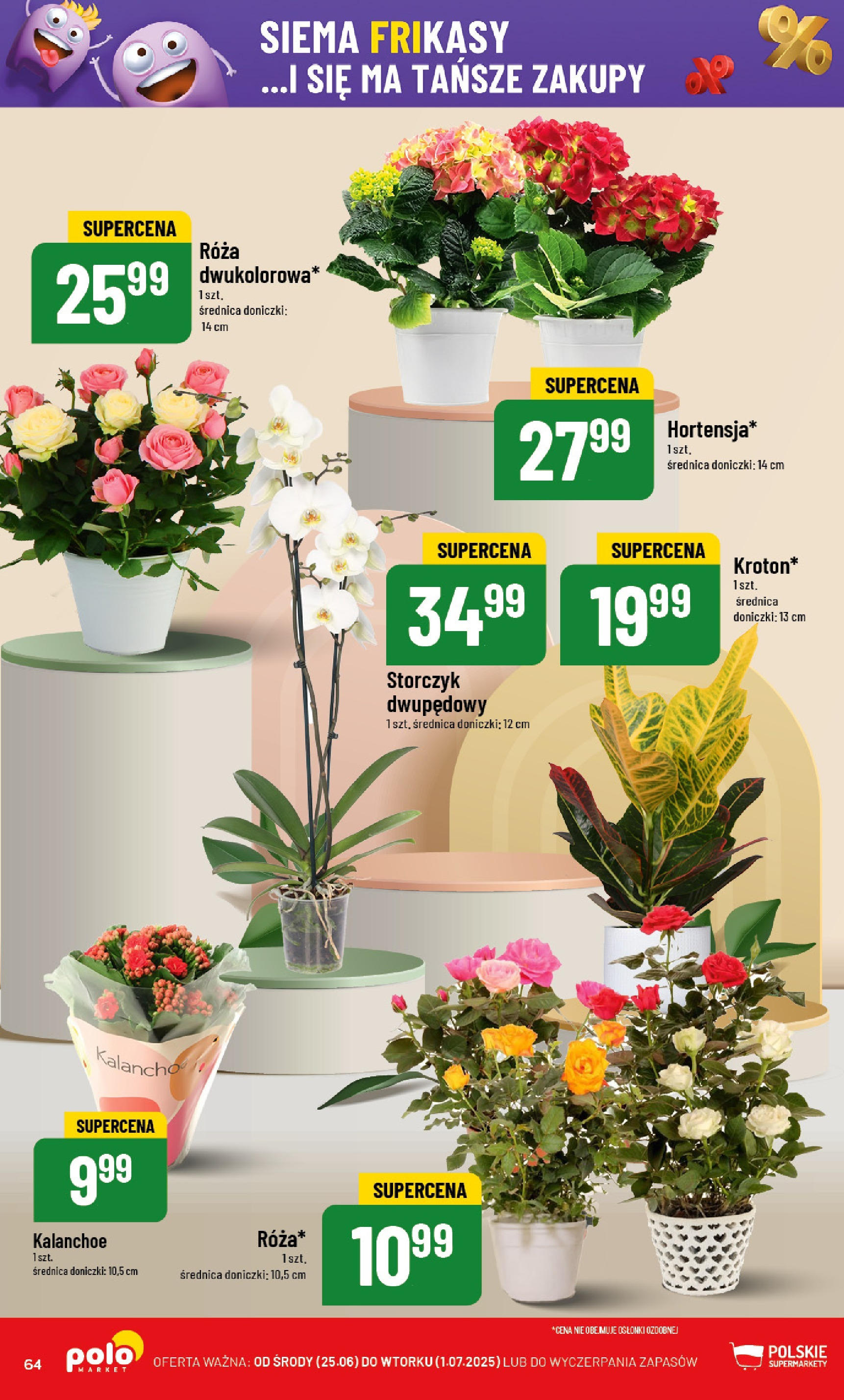 POLOmarket gazetka od jutra (25.06.2025) | Nowa PDF | Strona: 64 | Produkty: Doniczki, Kalanchoe, Storczyk POLOmarket gazetka od jutra (25.06.2025) - Nowa PDF | Strona: 64 | Produkty: Doniczki, Kalanchoe, Storczyk