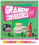 Conad City GRANDE CONVENIENZA - al 01.07.2025