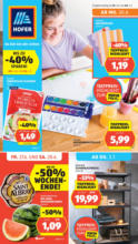 HOFER: Flugblatt