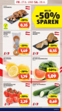 HOFER HOFER: Flugblatt - ab 27.06.2025