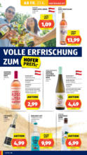 HOFER HOFER: Flugblatt - ab 27.06.2025