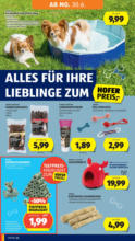 HOFER HOFER: Flugblatt - ab 27.06.2025