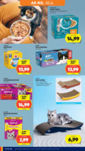 HOFER HOFER: Flugblatt - ab 27.06.2025