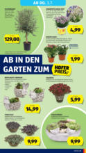 HOFER HOFER: Flugblatt - ab 27.06.2025
