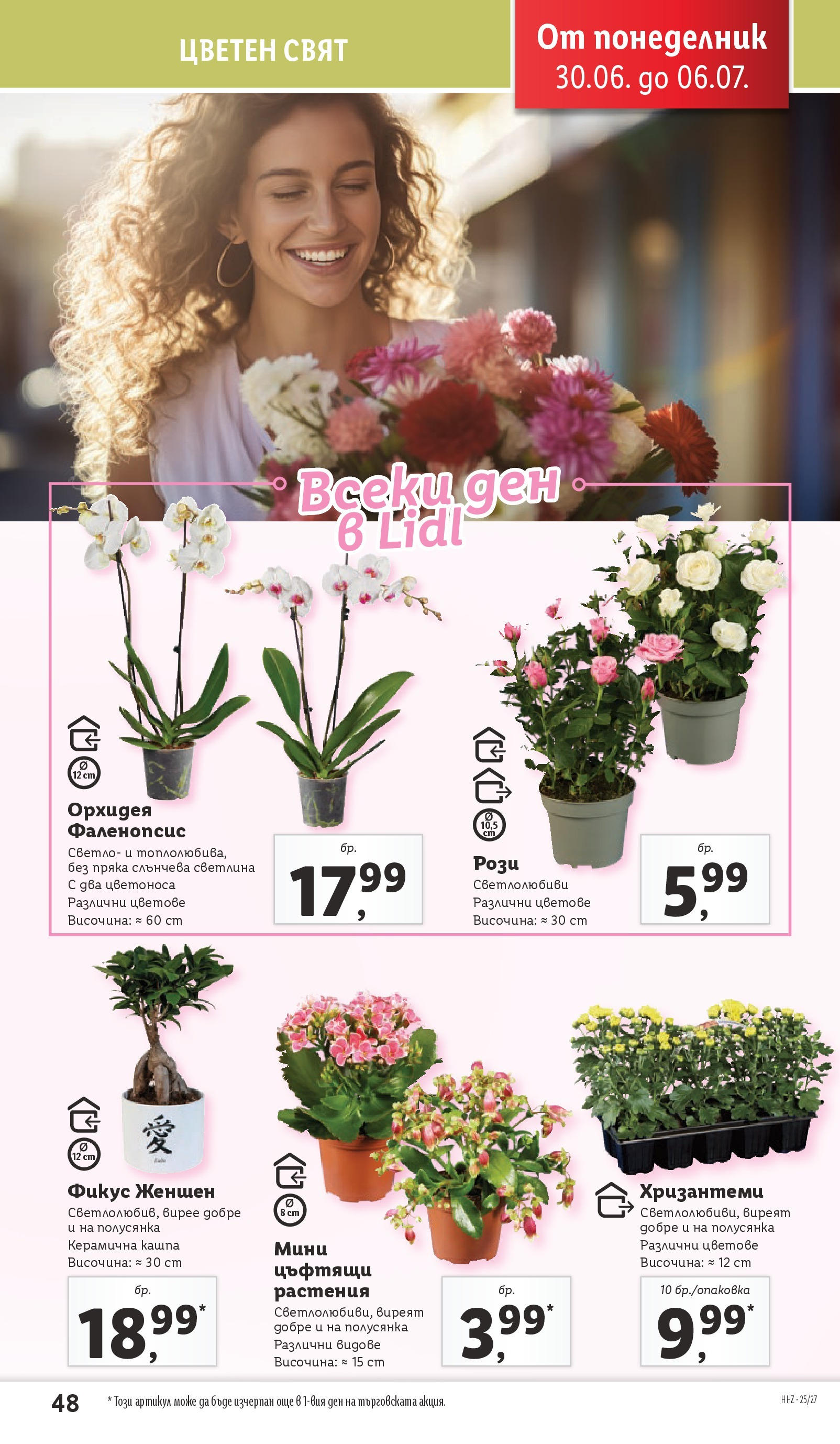Лидл брошура от 30.06.2025 - LIDL broshura "Cедмична брошура на Лидл" | Страница: 48 | Продукти: Кашпа, Орхидея Лидл брошура от 30.06.2025 - LIDL broshura "Cедмична брошура на Лидл" | Страница: 48 | Продукти: Кашпа, Орхидея